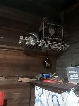 tayson  online show from March 28, 8:14 am