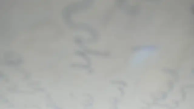 elis gabbi online show from December 20, 1:23 am