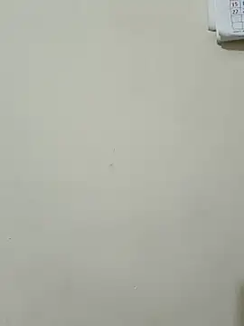 Saroj-Shah online show from March 16, 5:50 pm