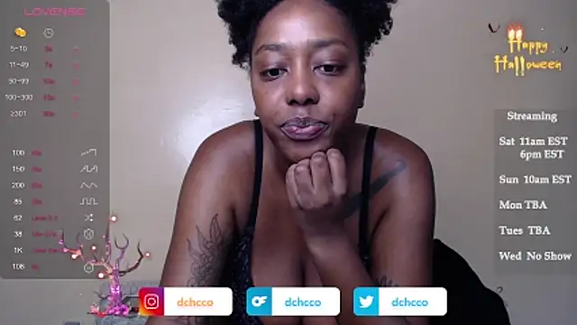 dchcco online show from November 1, 3:03 pm