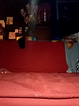 justiacoob online show from November 19, 6:35 am