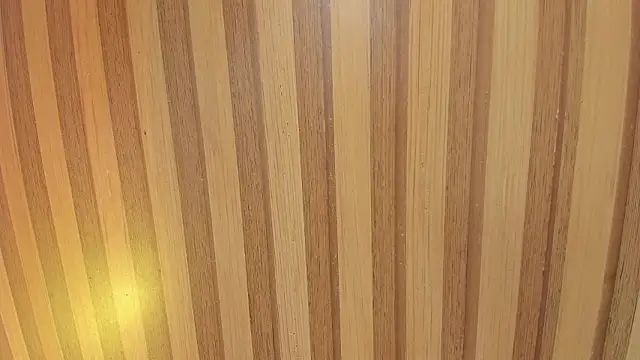 Taylor  cooper online show from February 6, 6:22 pm