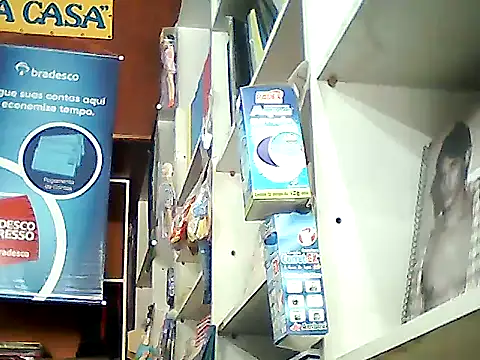 barboza991 online show from January 14, 5:34 pm