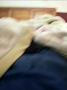 Snapshot of ravi707984 chatting on November 14, 9:19 am ravi707984 online show from November 14, 9:19 am