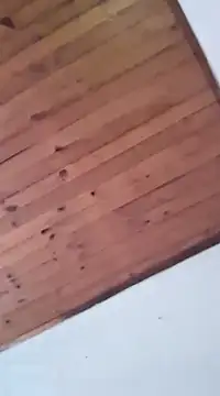 DANIELA MICHEL online show from January 19, 8:41 pm