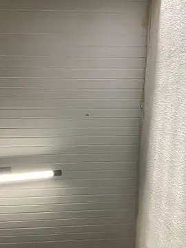 Snapshot of luara1988 chatting on September 27, 11:04 am luara1988 online show from September 27, 11:04 am