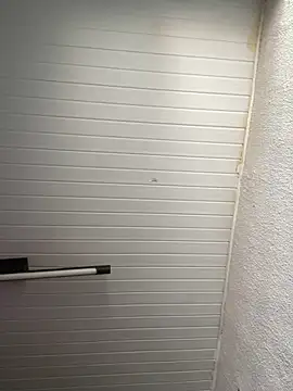 Snapshot of luara1988 chatting on November 12, 12:27 pm luara1988 online show from November 12, 12:27 pm