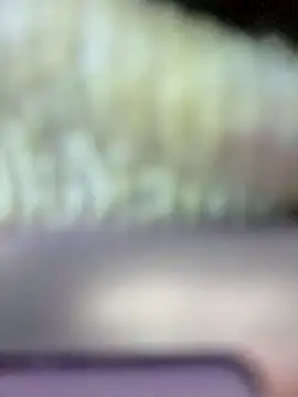 Snapshot of grace-3 chatting on November 22, 4:33 am grace-3 online show from November 22, 4:33 am