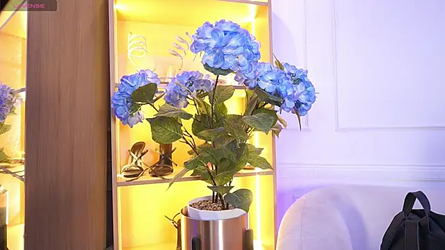 elasummer online show from December 20, 12:12 pm