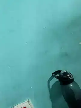 Snapshot of Rani_devi88 chatting on February 24, 9:43 am Rani devi88 online show from February 24, 9:43 am