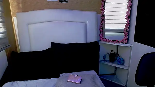 palmer mIix online show from December 5, 1:17 pm