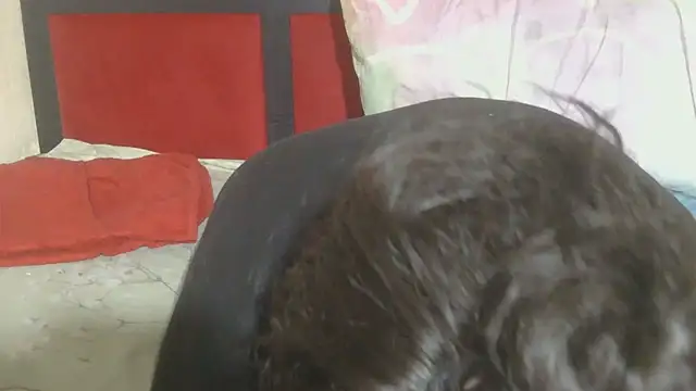 MaximTease24 online show from June 12, 10:41 pm