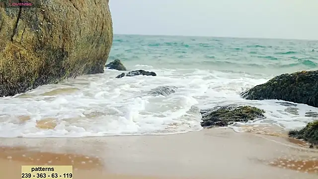  sex in paradise  online show from January 14, 12:43 am