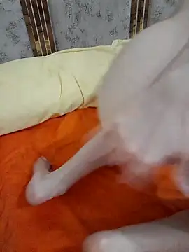 Snapshot of abyusif101099 chatting on February 25, 4:57 am abyusif101099 online show from February 25, 4:57 am