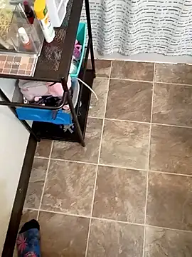 StellerCock online show from February 5, 7:57 am