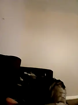 Snapshot of willywonka7793 chatting on December 16, 5:33 pm willywonka7793 online show from December 16, 5:33 pm