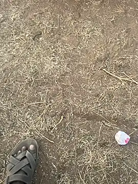 tamil000000 online show from March 10, 12:48 pm