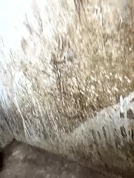 tamil000000 online show from January 17, 10:31 am