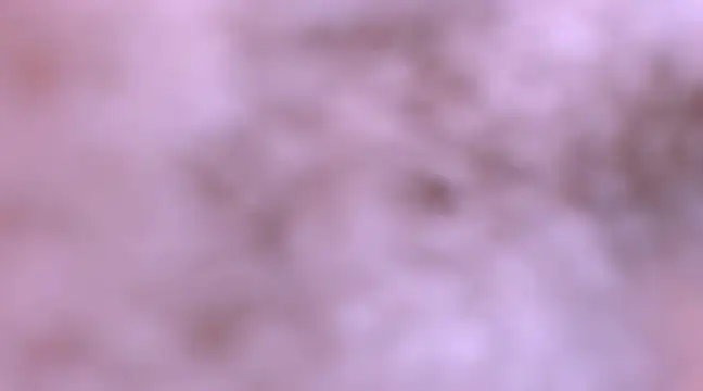 bubble red online show from February 8, 4:47 am