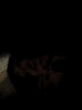 ruhi2003 online show from December 3, 11:33 am