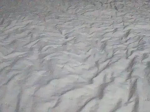 Tigerek i m online show from January 14, 7:25 am