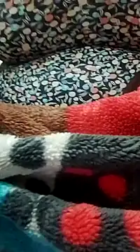 Snapshot of houda_sex_hot chatting on February 28, 11:12 pm houda sex hot online show from February 28, 11:12 pm