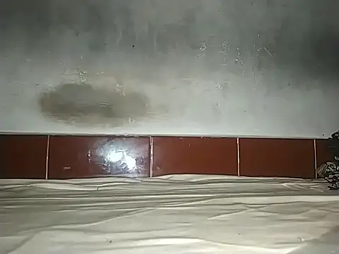 alansteer online show from October 21, 8:15 am