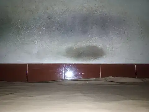 alansteer online show from January 18, 8:23 pm