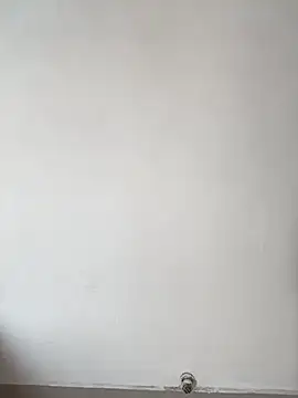 xaviersbrowndick online show from August 6, 8:16 am