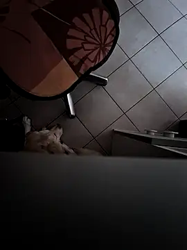 HardWolf2024 online show from December 9, 2:49 pm