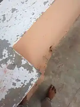 PracticalGum40 online show from February 21, 3:07 am