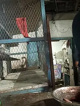 Skinny Bigass 23 online show from February 10, 2:59 pm