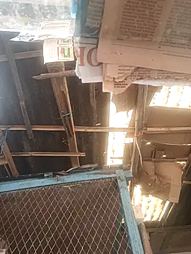 Skinny Bigass 23 online show from December 1, 7:57 am