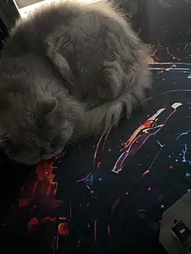 Leo-Cock online show from March 26, 9:59 am