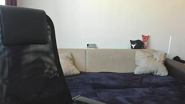 Ostin meow online show from September 20, 4:35 am