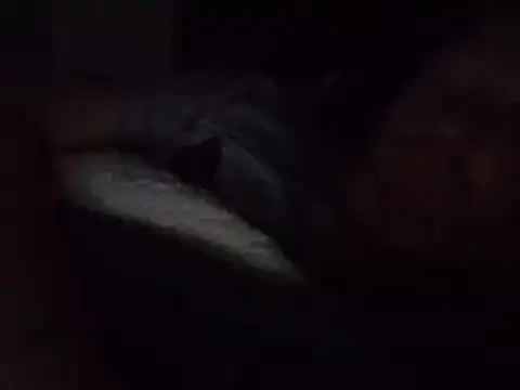 muffgoldcock online show from December 25, 10:37 pm
