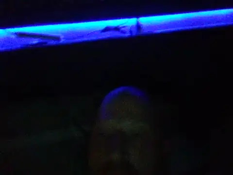 muffgoldcock online show from February 9, 4:36 am