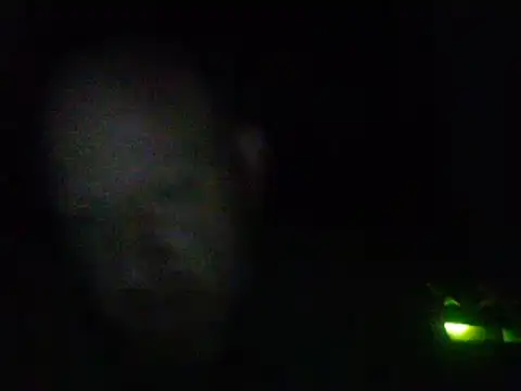 muffgoldcock online show from March 18, 4:15 am