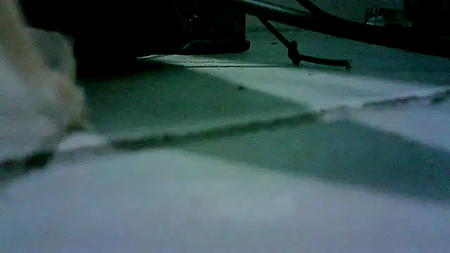 patynalgona online show from October 18, 11:00 am