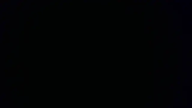 W N G S online show from October 15, 8:20 pm