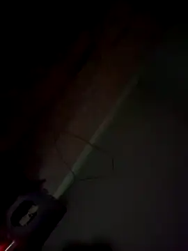 Snapshot of imissyoumylove14 chatting on January 21, 7:47 am imissyoumylove14 online show from January 21, 7:47 am