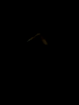 DaWoD030 online show from January 19, 5:18 pm