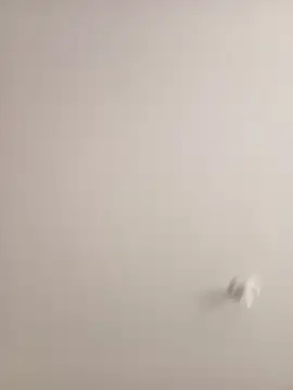 Morguisssz online show from September 18, 1:02 pm