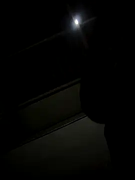 Morguisssz online show from November 1, 2:24 am