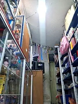 nidia2026 online show from November 20, 3:34 pm