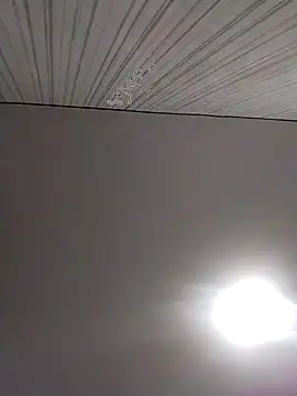 Snapshot of Lorrain_Dorrie chatting on December 2, 6:30 am Lorrain Dorrie online show from December 2, 6:30 am