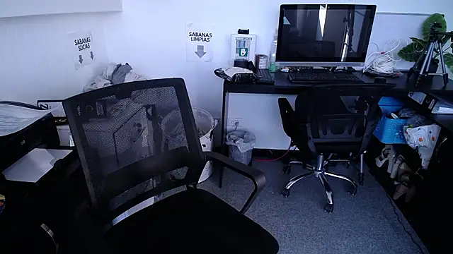 salome drasin online show from February 28, 12:17 pm