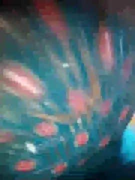 Ruby Sc online show from December 8, 1:36 pm