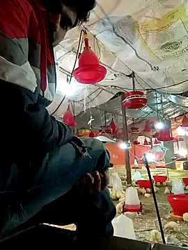 Snapshot of Roni1028 chatting on December 31, 5:11 am Roni1028 online show from December 31, 5:11 am