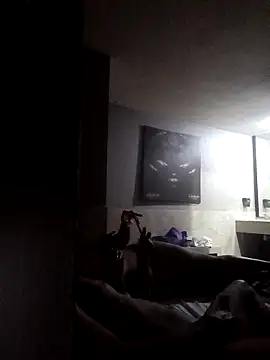 Snapshot of SiperoXxX chatting on November 4, 9:19 am SiperoXxX online show from November 4, 9:19 am